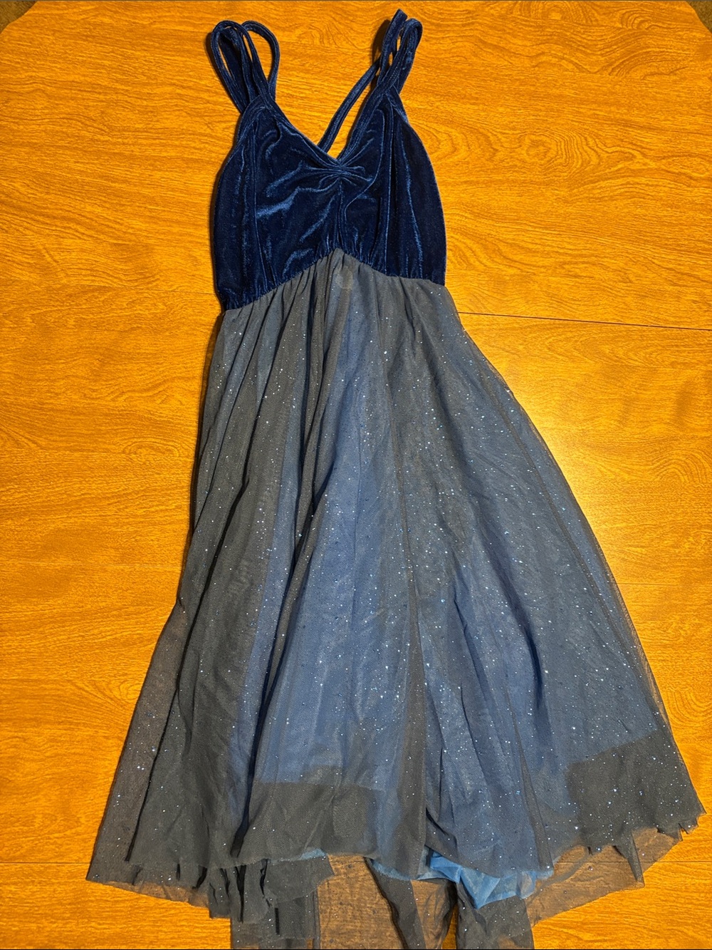 Figure Skating/Dance Revolution Navy Velvet Bodice & Sparkle Tulle Party Dress